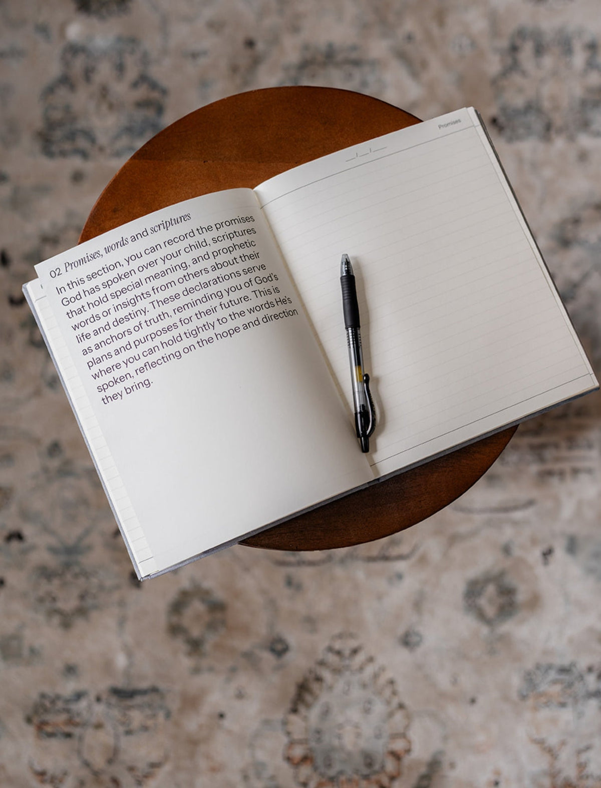 Destiny Journal: A journey of Prayer, Promise and Purpose for you Child
