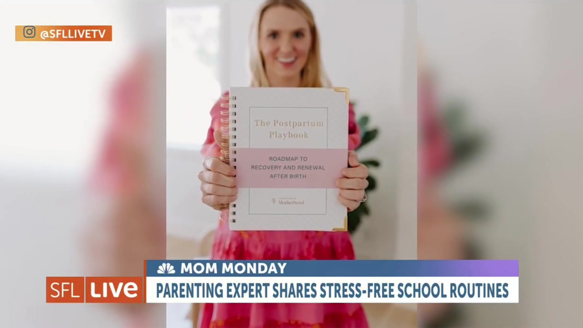 The Postpartum Playbook: Postpartum Planner & Guide