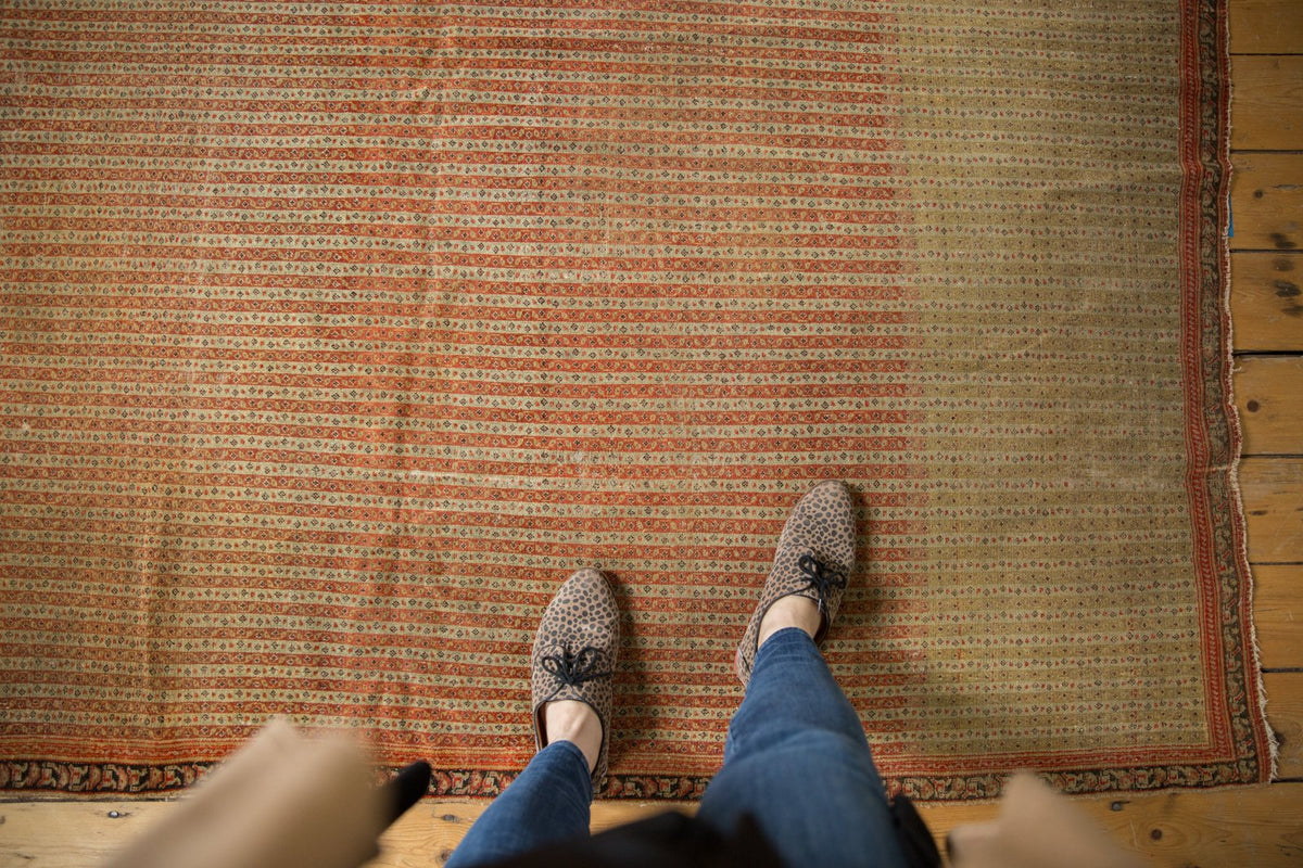 Old New House® 4x6 Antique Fine Senneh Rug - Rugs