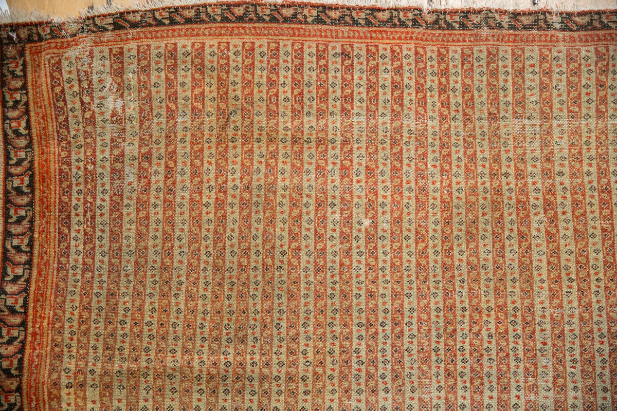 Old New House® 4x6 Antique Fine Senneh Rug - Rugs