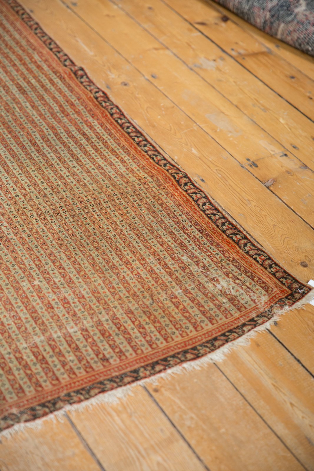 Old New House® 4x6 Antique Fine Senneh Rug - Rugs