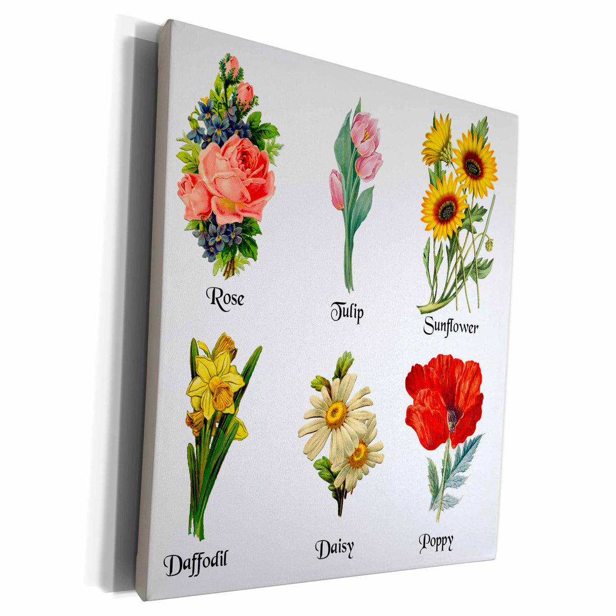 3dRose Vintage Botanical Floral Flowers - Antique Flower Art... - Museum Grade Canvas Wrap (product 10485249179931)