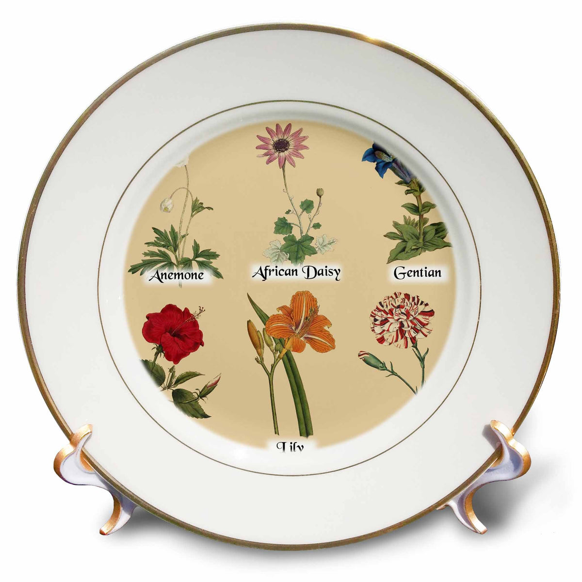 3dRose Vintage Botanical Flowers - Antique Floral - Beautiful Flower Art - Plates (cp-364635) - Plate - by 3dRose | Heavy