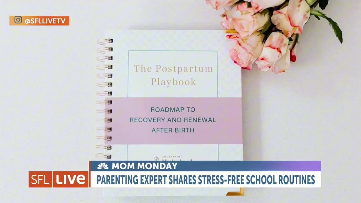 The Postpartum Playbook: Postpartum Planner & Guide