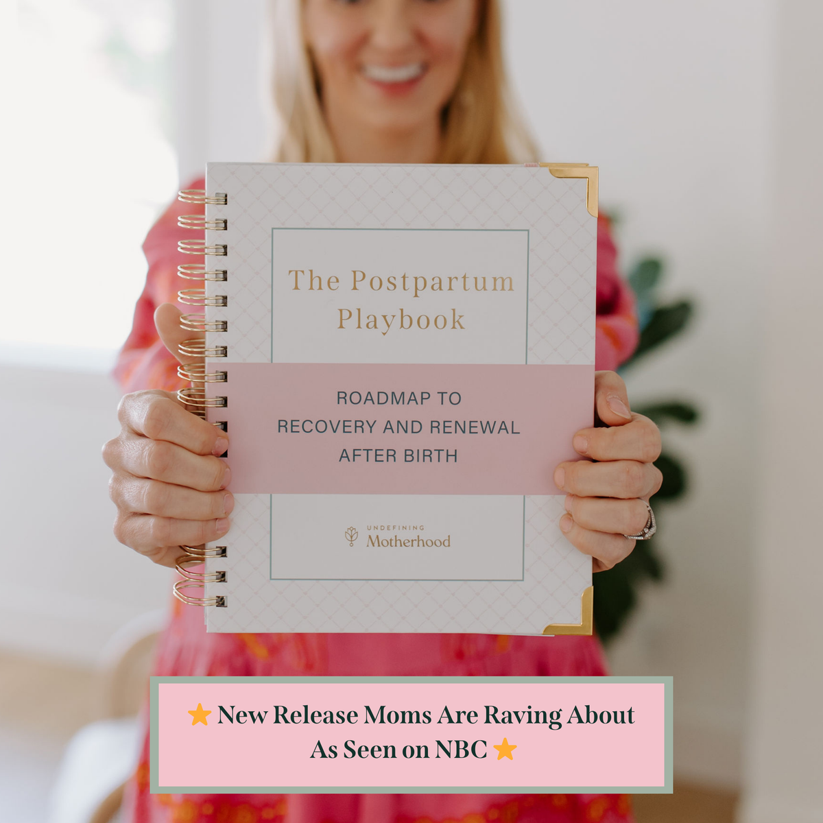 The Postpartum Playbook: Postpartum Planner & Guide