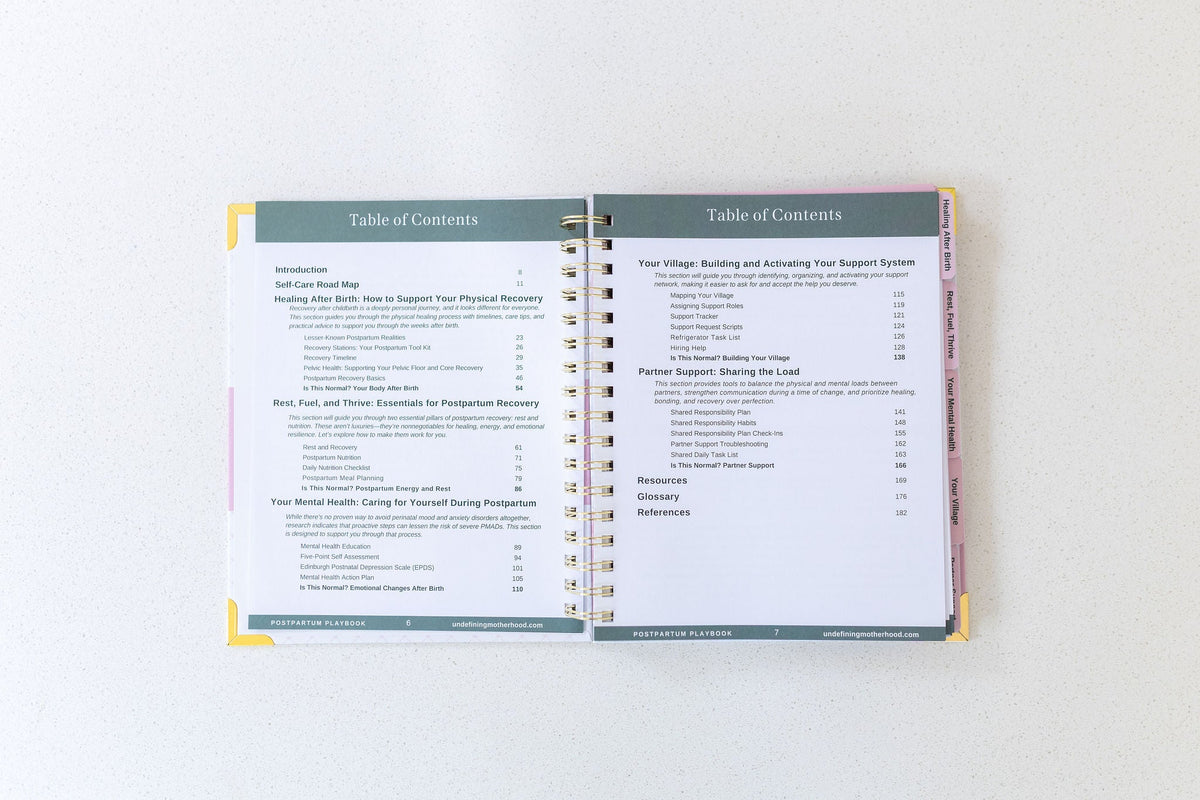 The Postpartum Playbook: Postpartum Planner & Guide