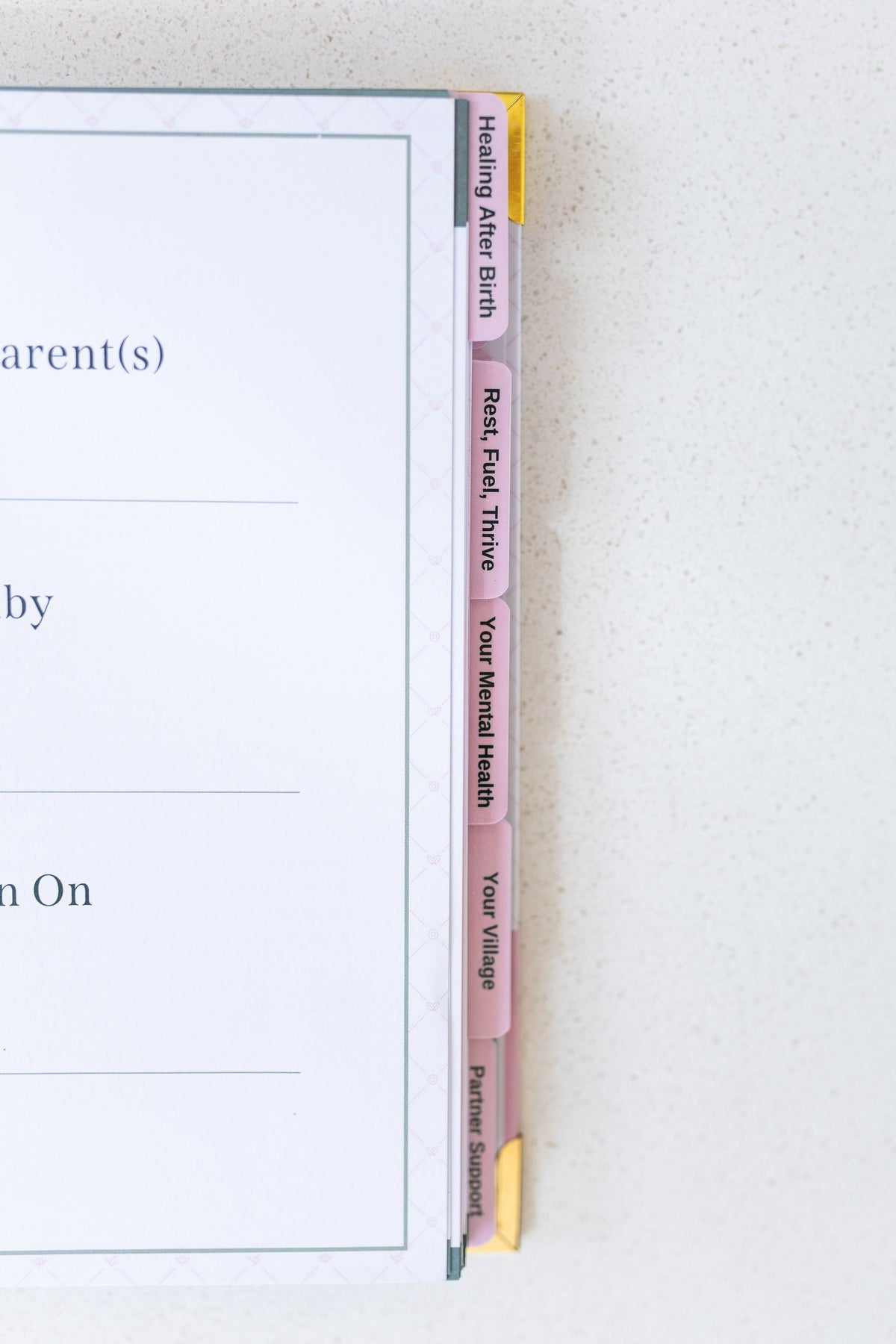 The Postpartum Playbook: Postpartum Planner & Guide