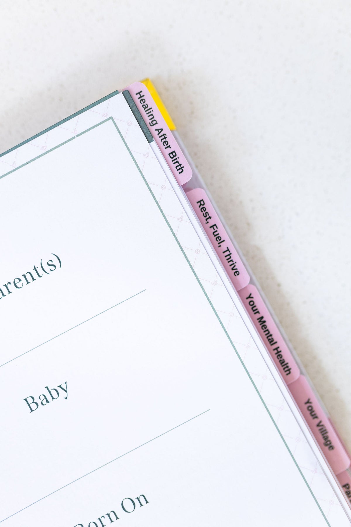 The Postpartum Playbook: Postpartum Planner & Guide