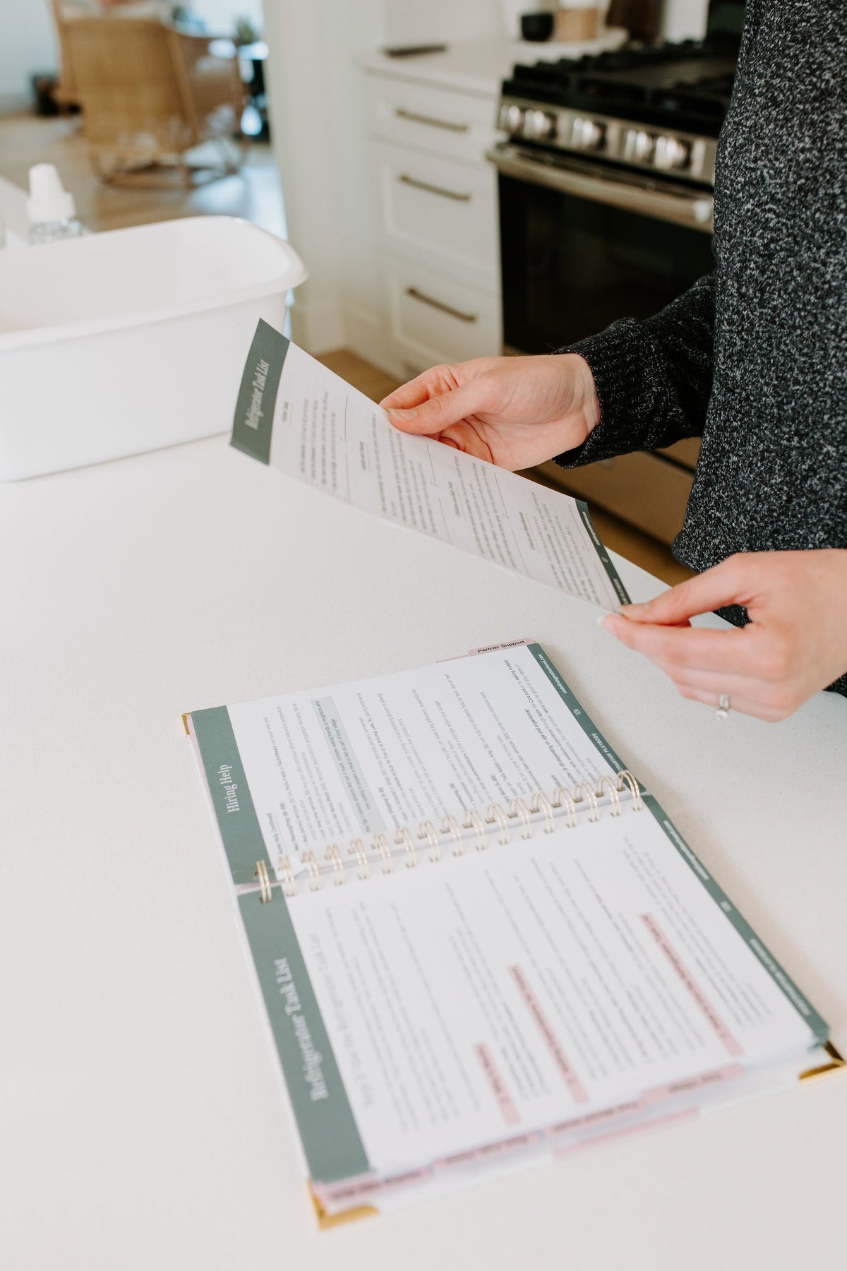 The Postpartum Playbook: Postpartum Planner & Guide