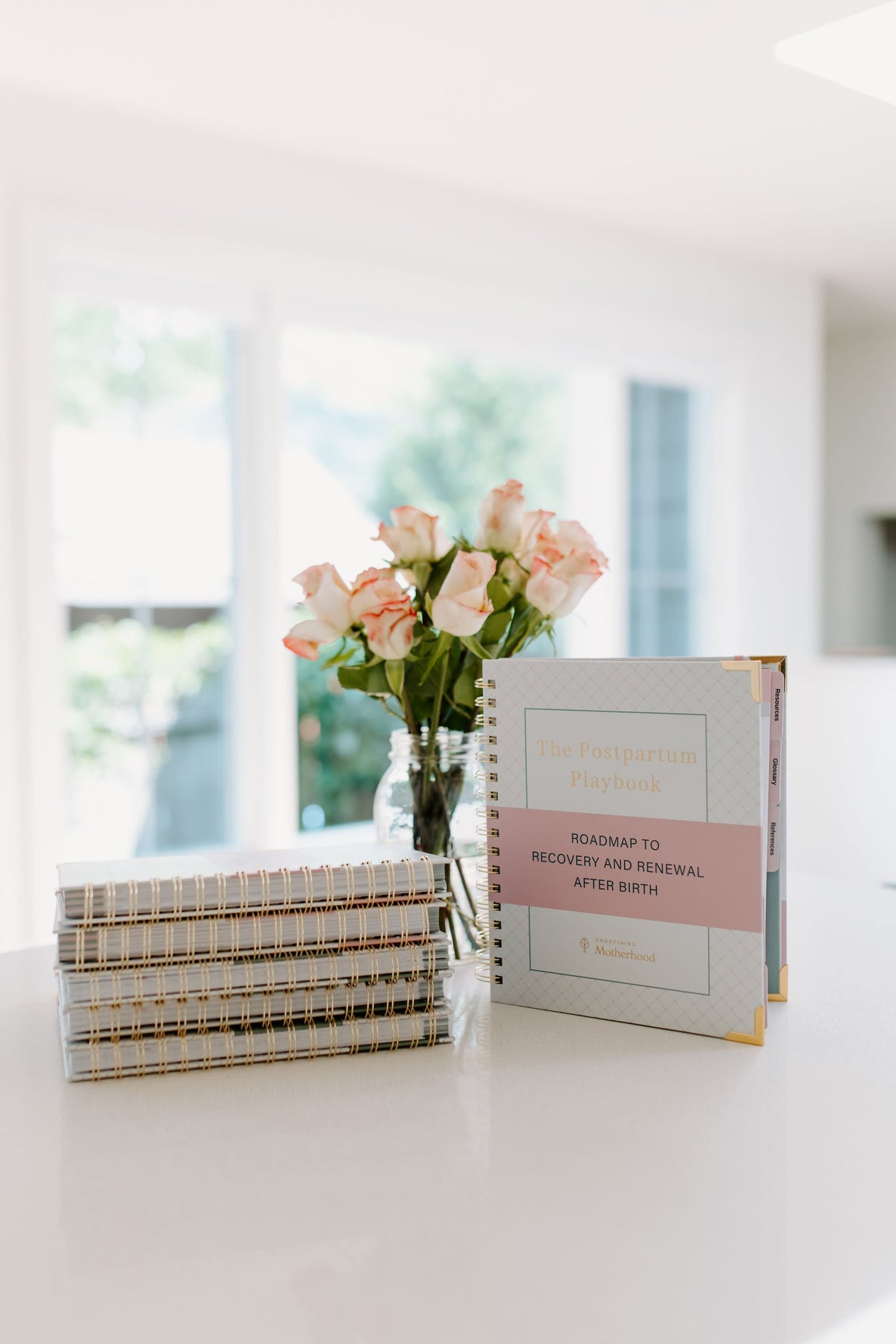 The Postpartum Playbook: Postpartum Planner & Guide