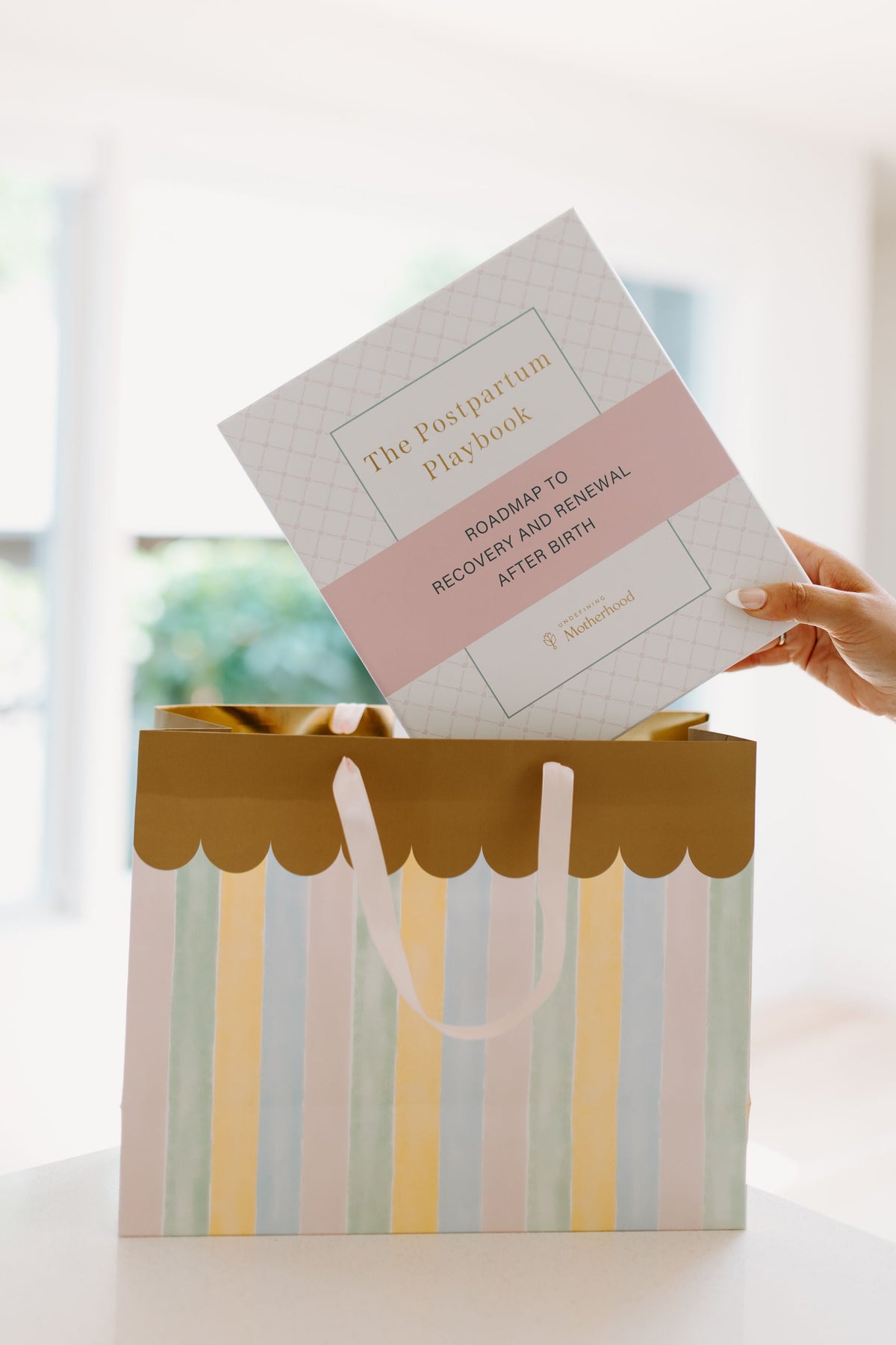 The Postpartum Playbook: Postpartum Planner & Guide