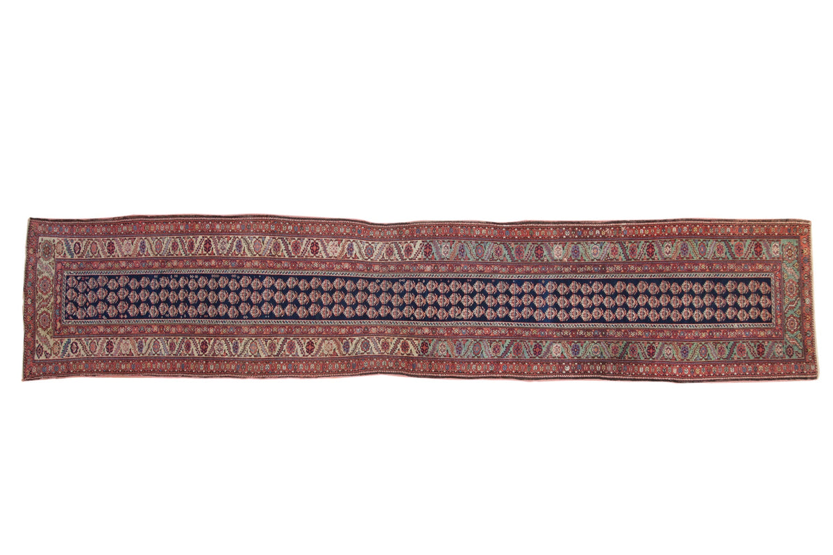 Old New House® 3x15 Antique Malayer Rug Runner - Rugs