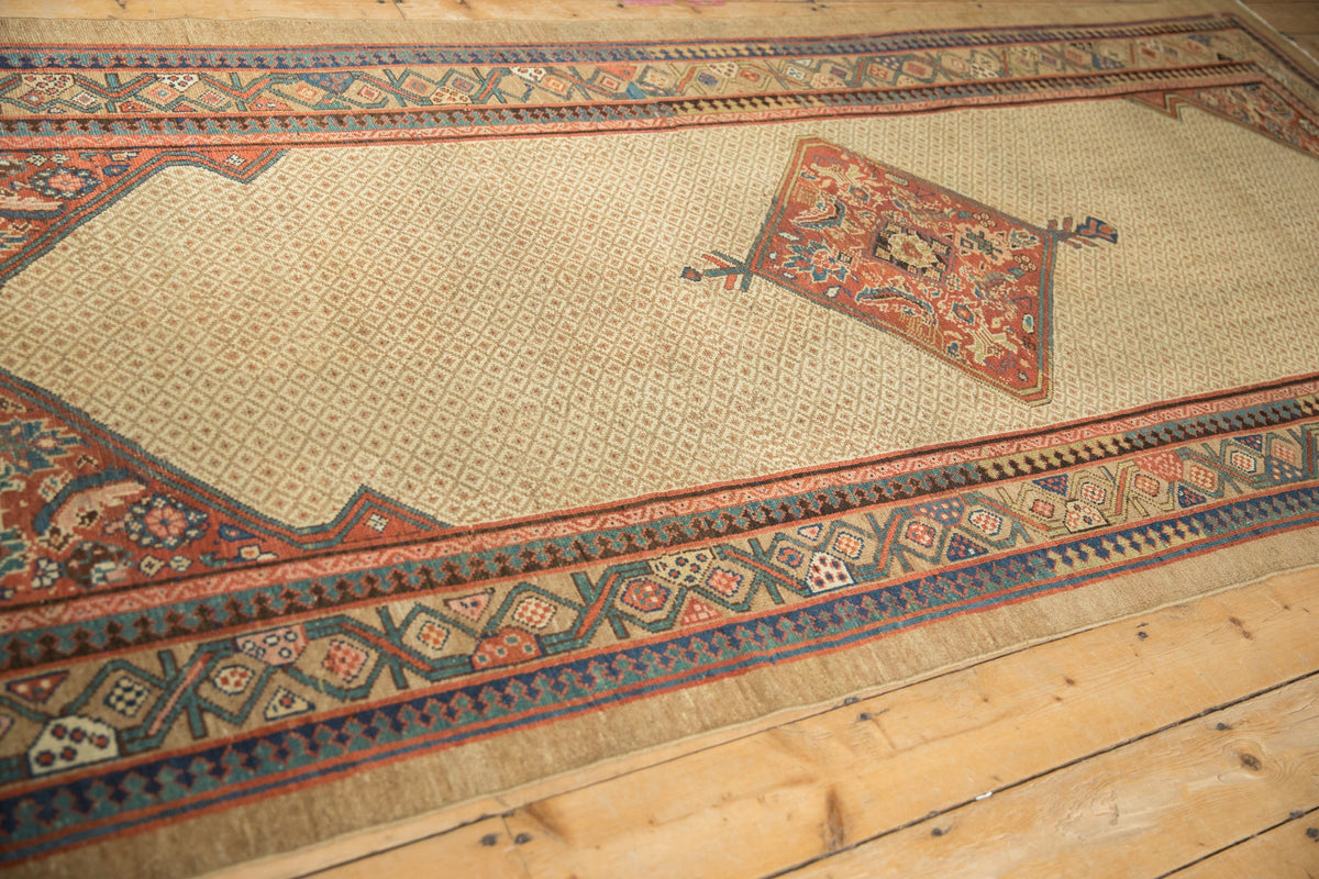 Old New House® 4.5x10 Antique Serab Rug Runner - Rugs