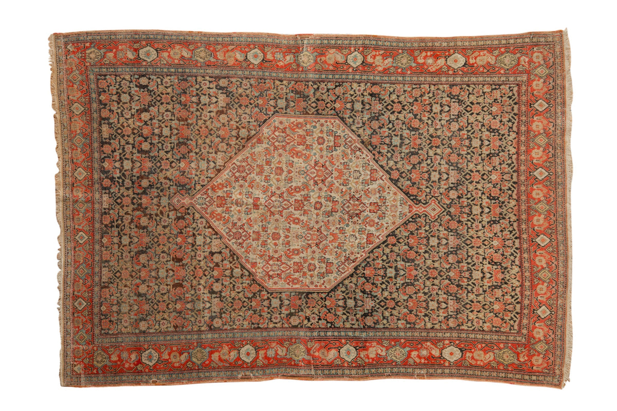 Old New House® 4x6 Antique Senneh Rug - Rugs