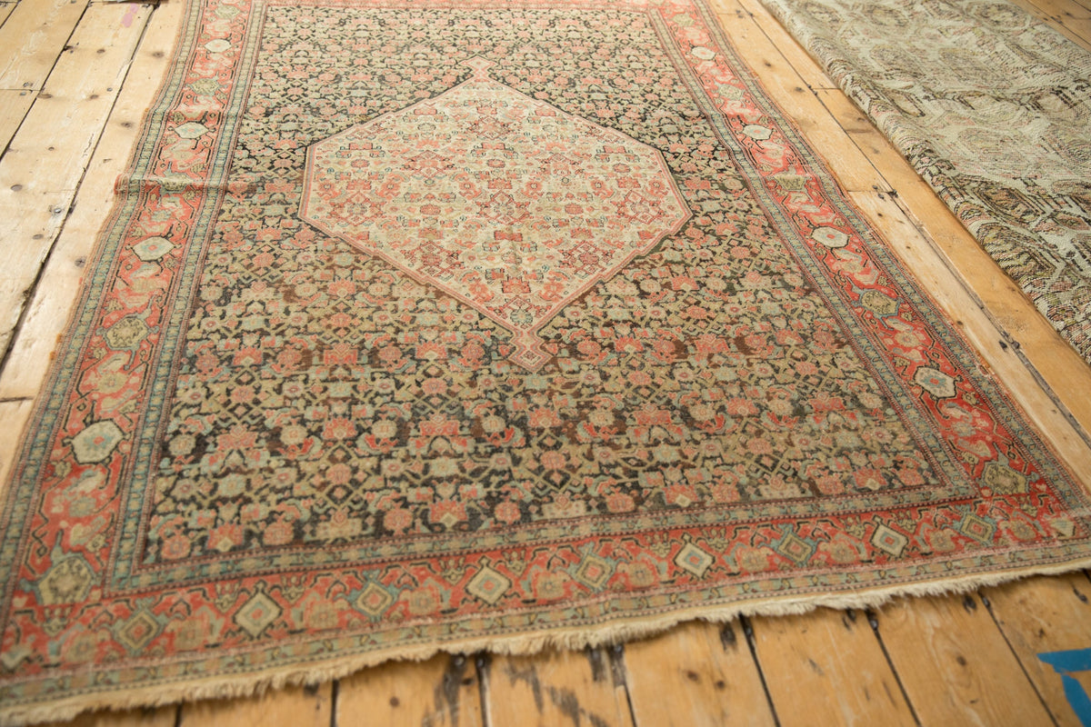 Old New House® 4x6 Antique Senneh Rug - Rugs