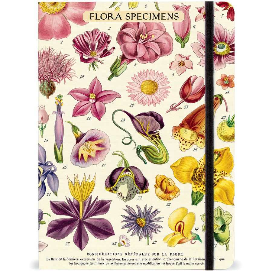 Vintage-Inspired Flora Specimens Flower Notebook Journal with Elastic Closure