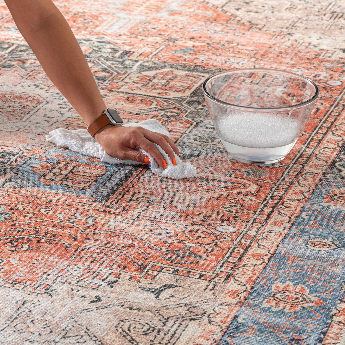 Boutique Rugs Rosman Distressed Washable Area Rug - Rugs